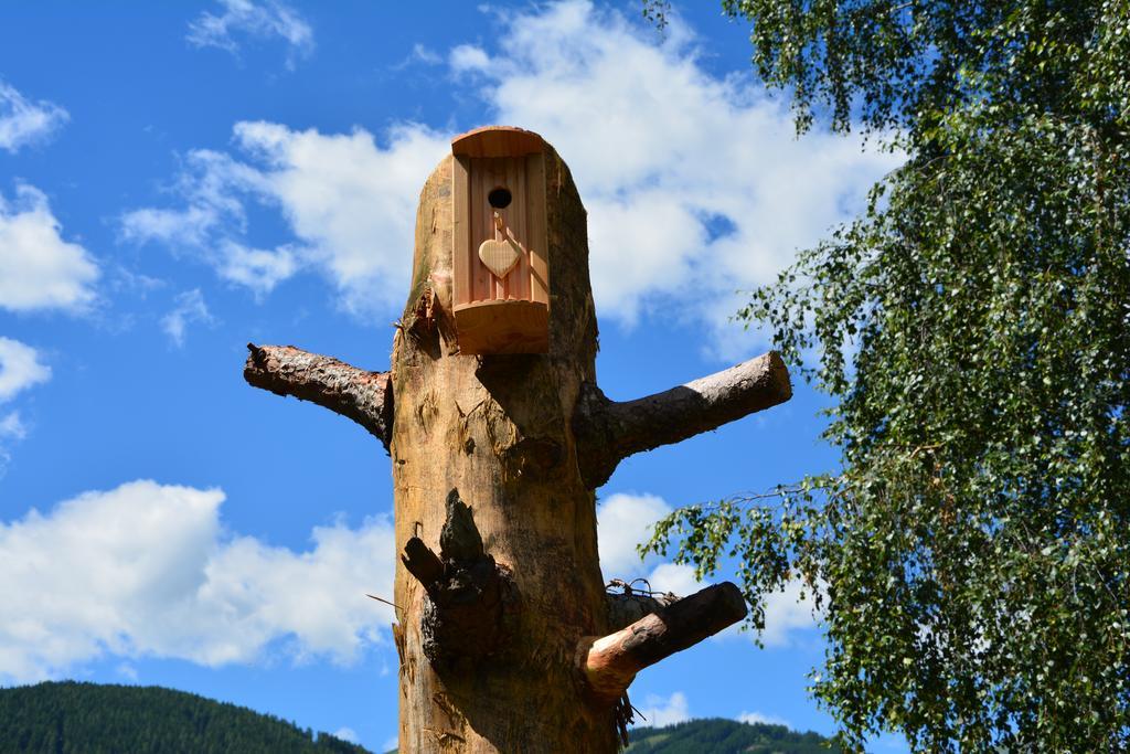 Haus Santorum Sankt Michael im Lungau Buitenkant foto