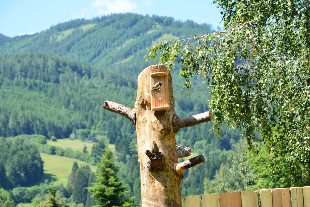 Haus Santorum Sankt Michael im Lungau Buitenkant foto